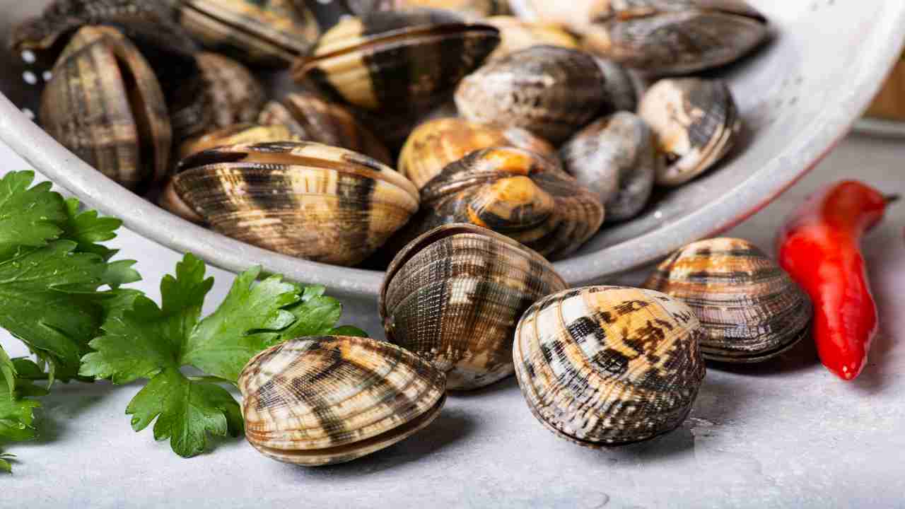 togliere la sabbia dalle vongole