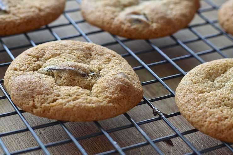 non semplici biscotti cioccolato