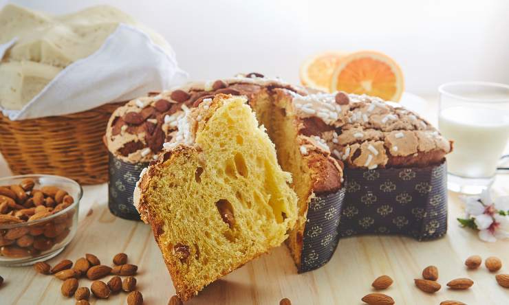 colomba ricetta