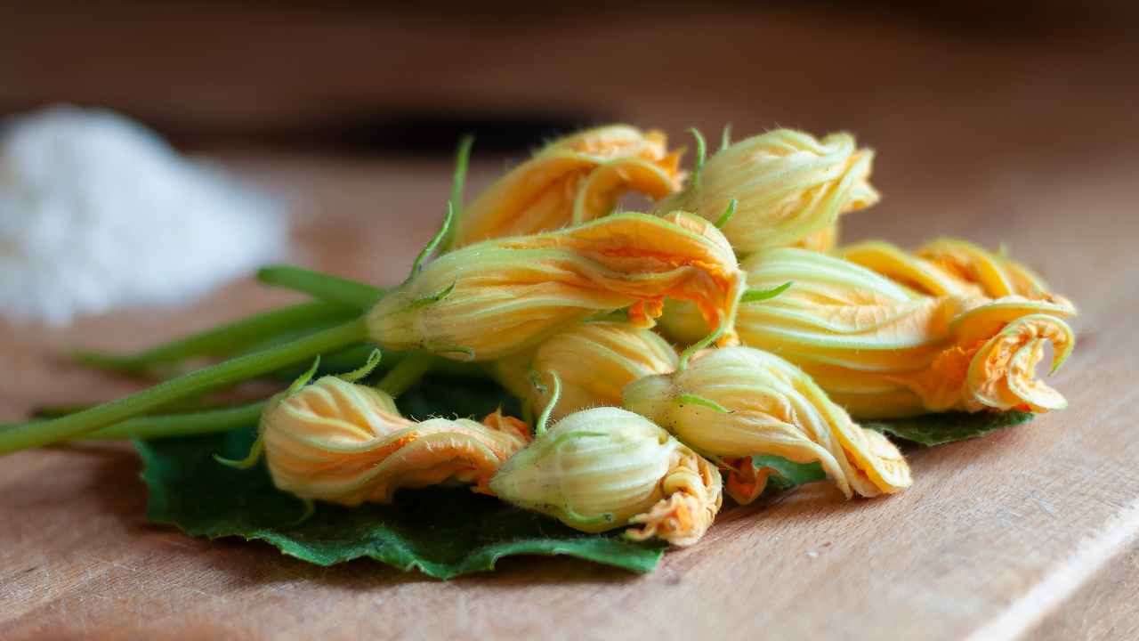 fiori di zucca contorno