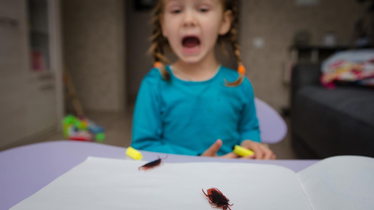 paura degli scarafaggi