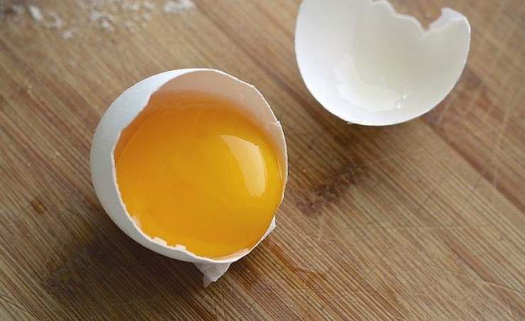 tuorlo di uovo