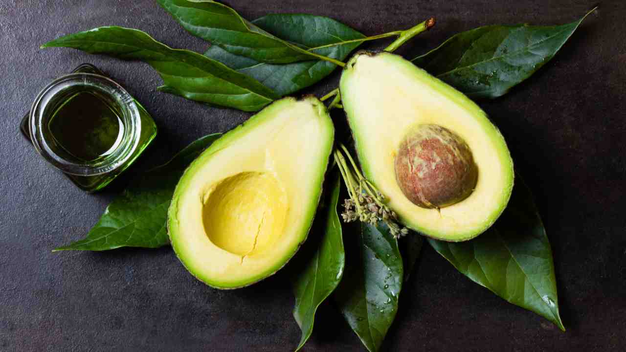 avocado acerbo