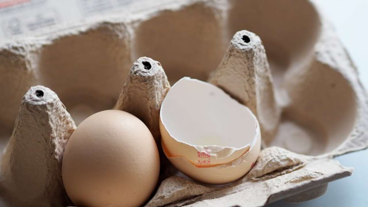cartone uova centrotavola