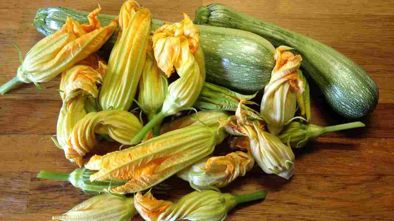 fiori di zucca in pastella