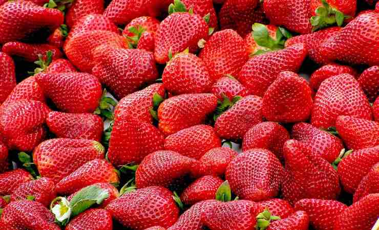 fragole