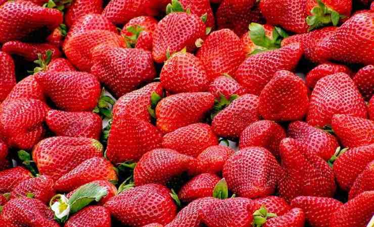 fragole