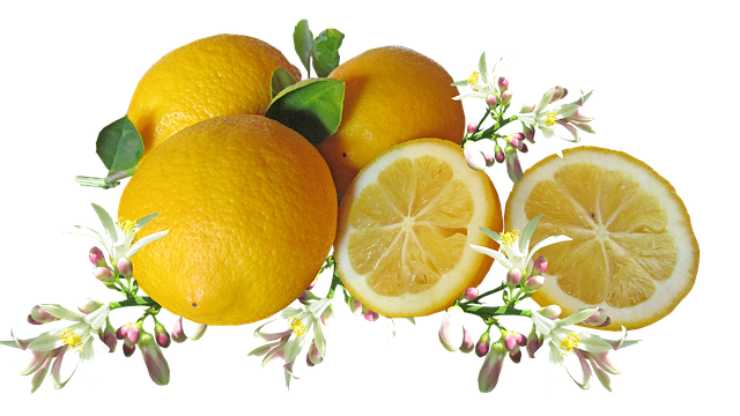 limoni