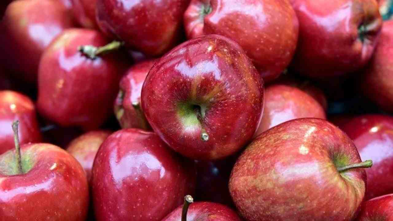 dolce mele semplice
