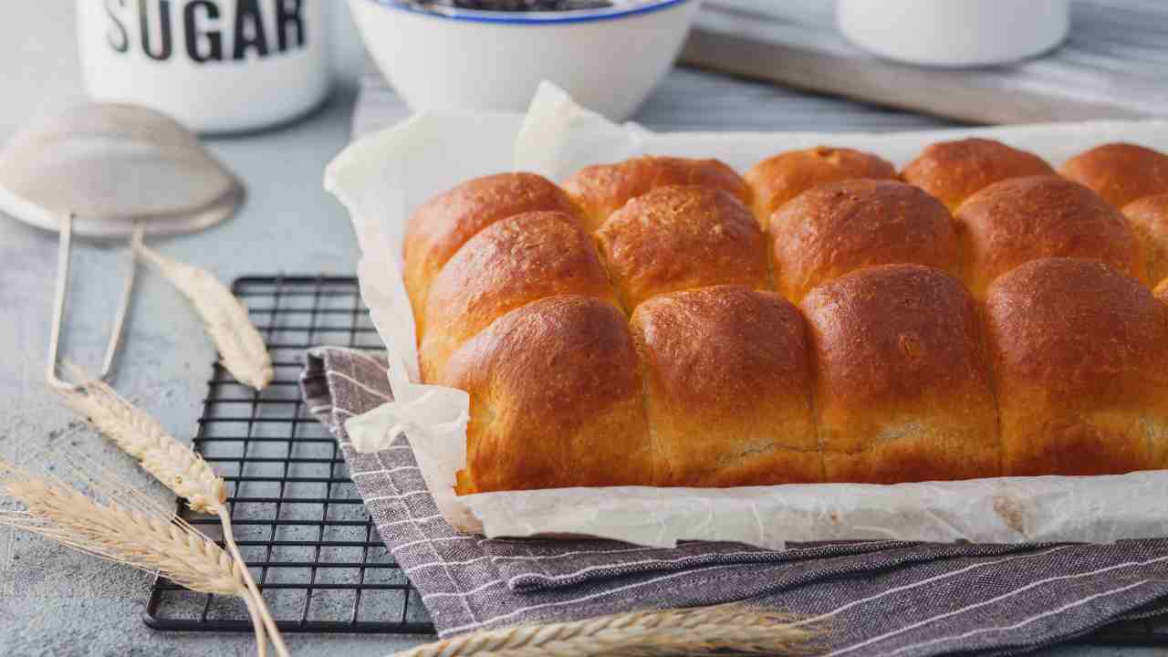 pan brioche salato