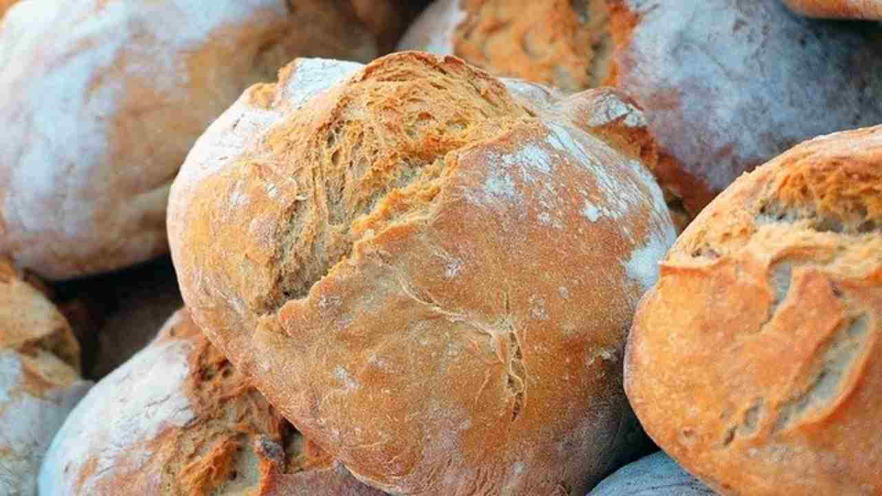 pane duro trucco