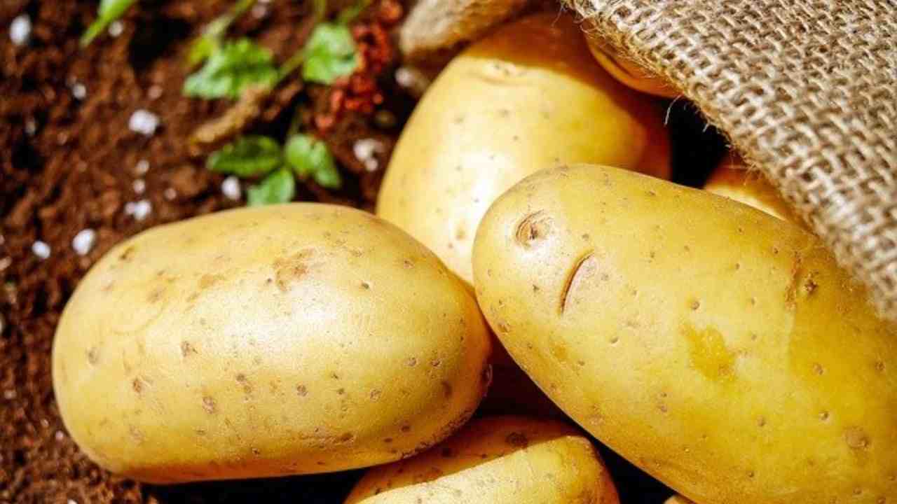 patate cena