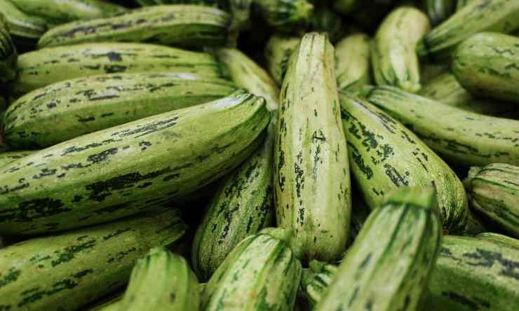 le zucchine ripiene