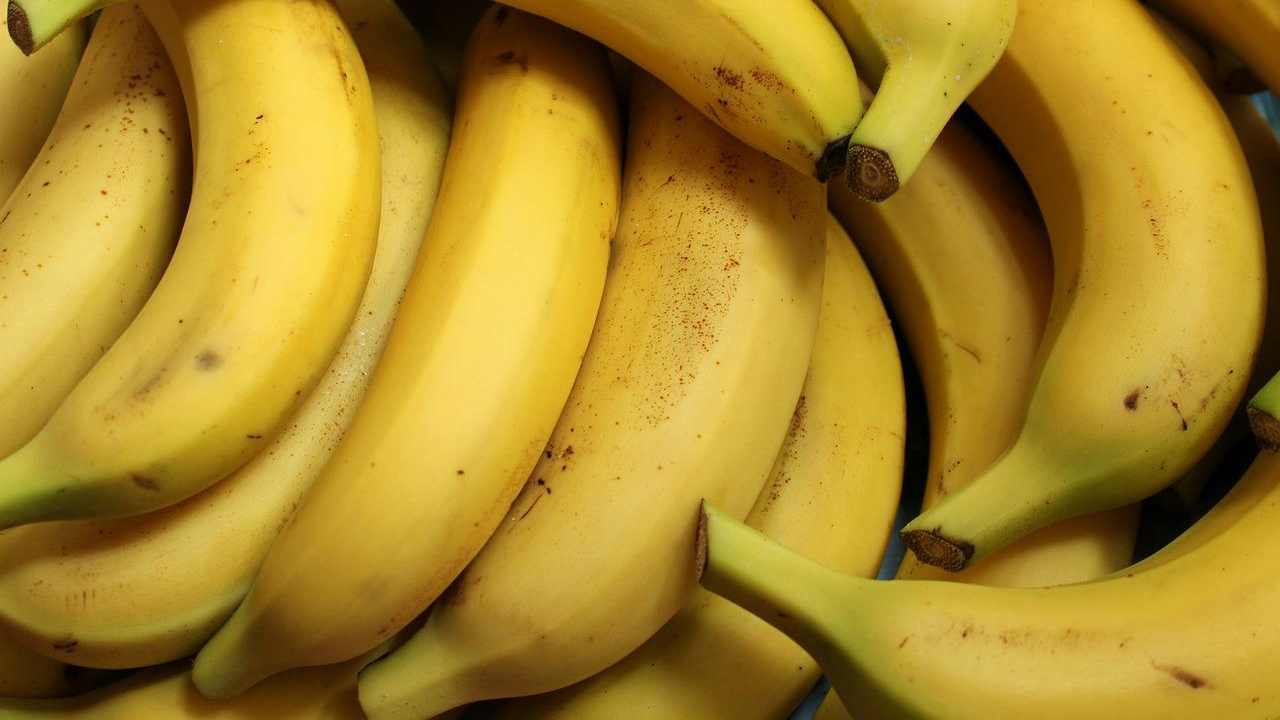 Colore banane dice molto