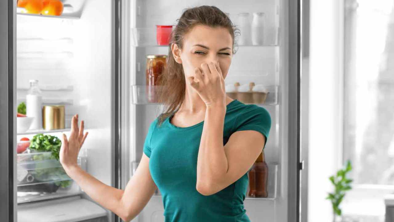 eliminare cattivi odori frigo