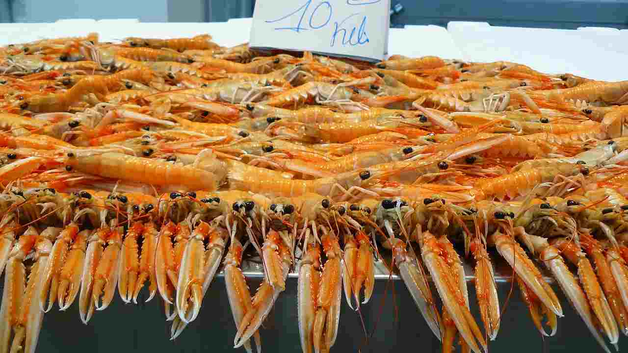 Scegliere scampi pescheria