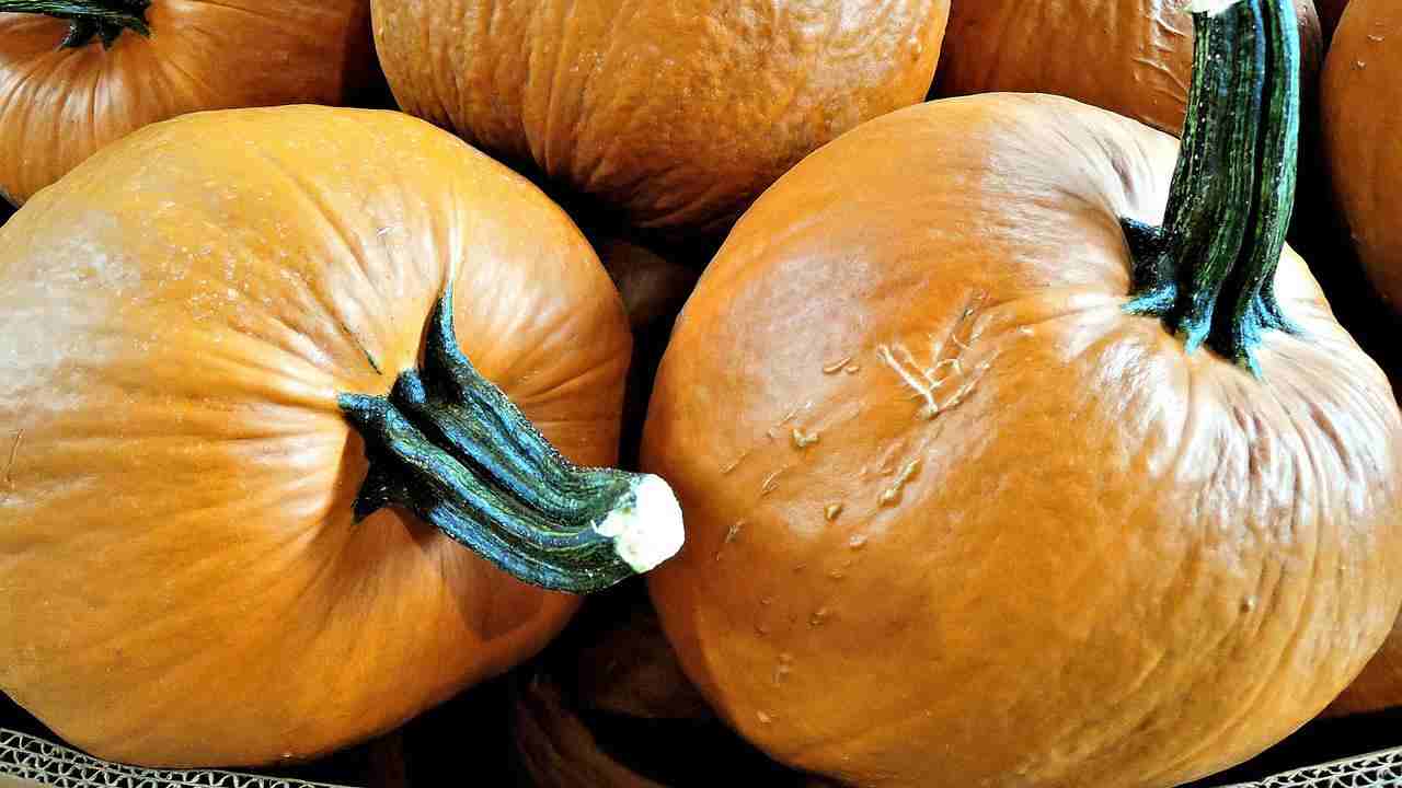 Torta con la zucca