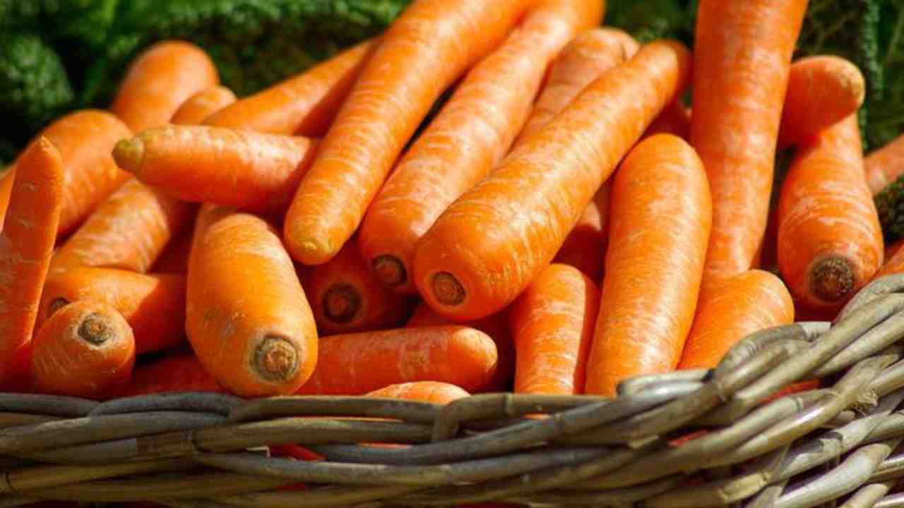 conservano carote