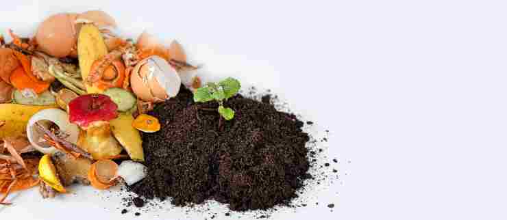 compost naturale