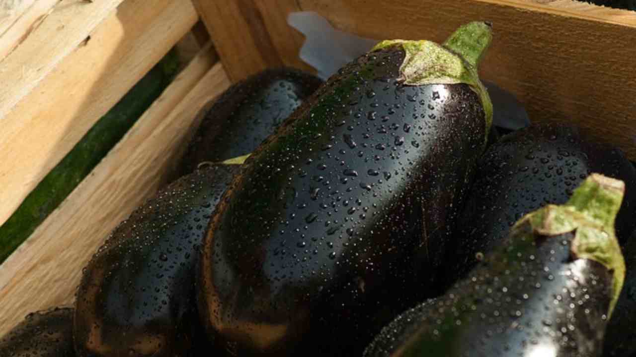 melanzane pomodoro