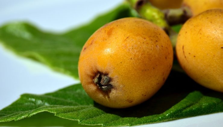 cosa cucinare con le nespole