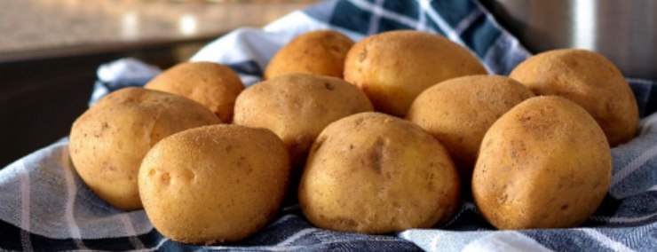 bastoncini di patate
