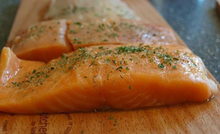 salmone