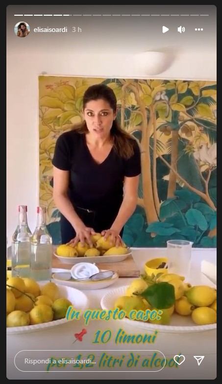 Elisa Isoardi limoncello