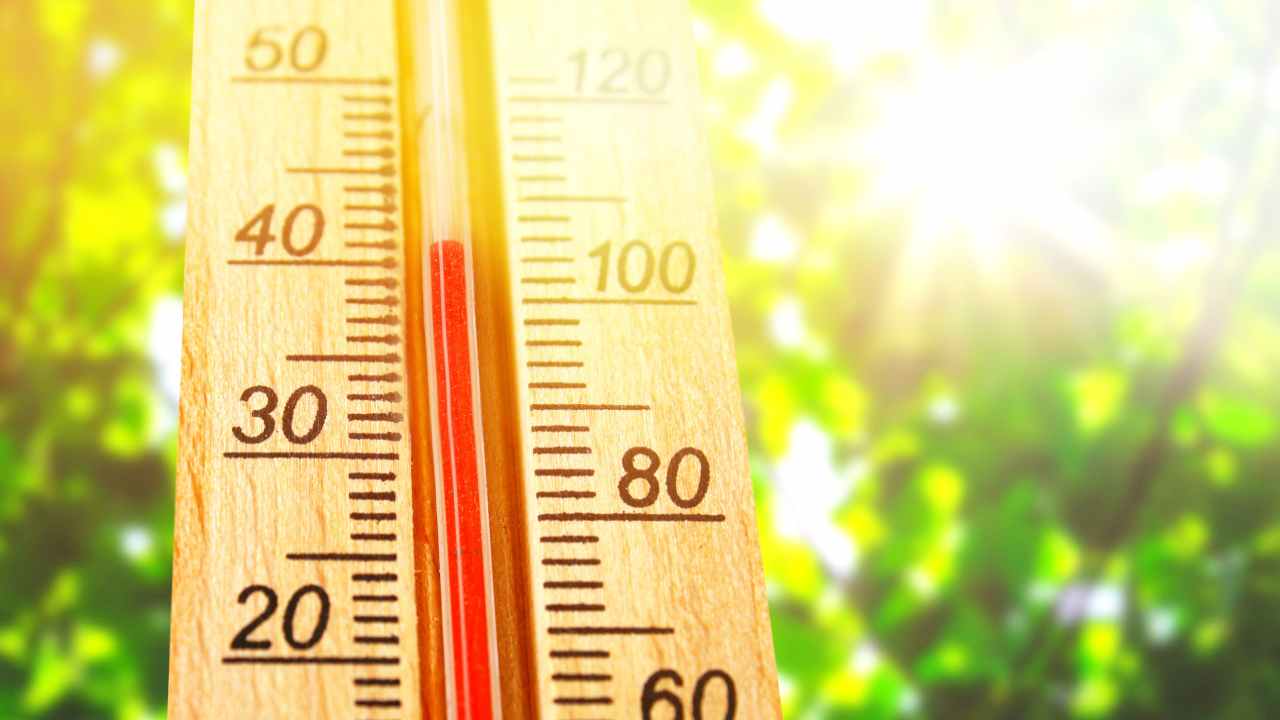 cibi da evitare caldo