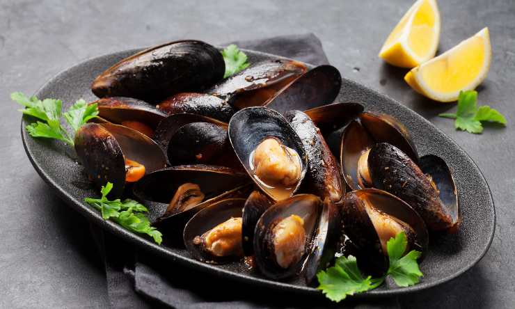 come cucinare le cozze