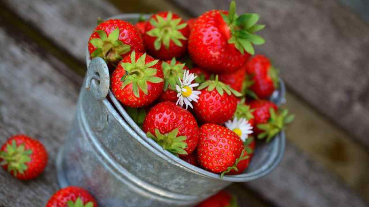 fragole merenda