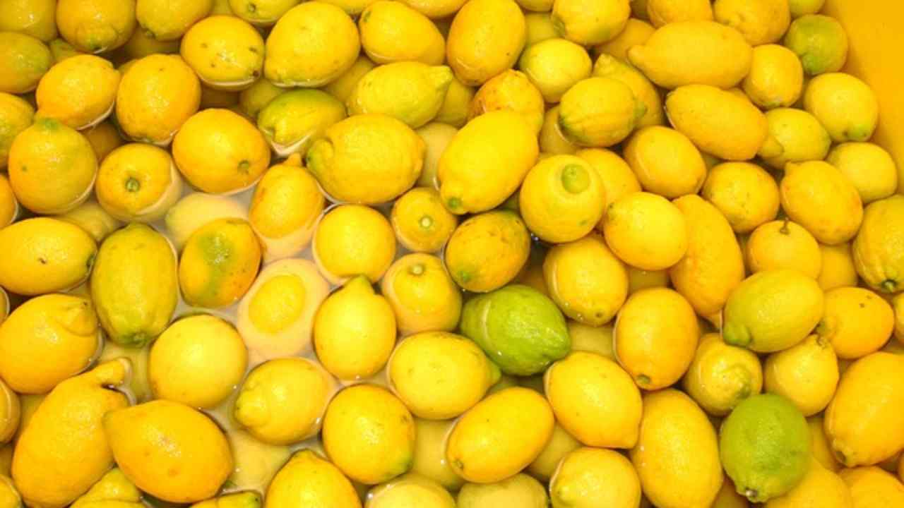 preparare limoncello