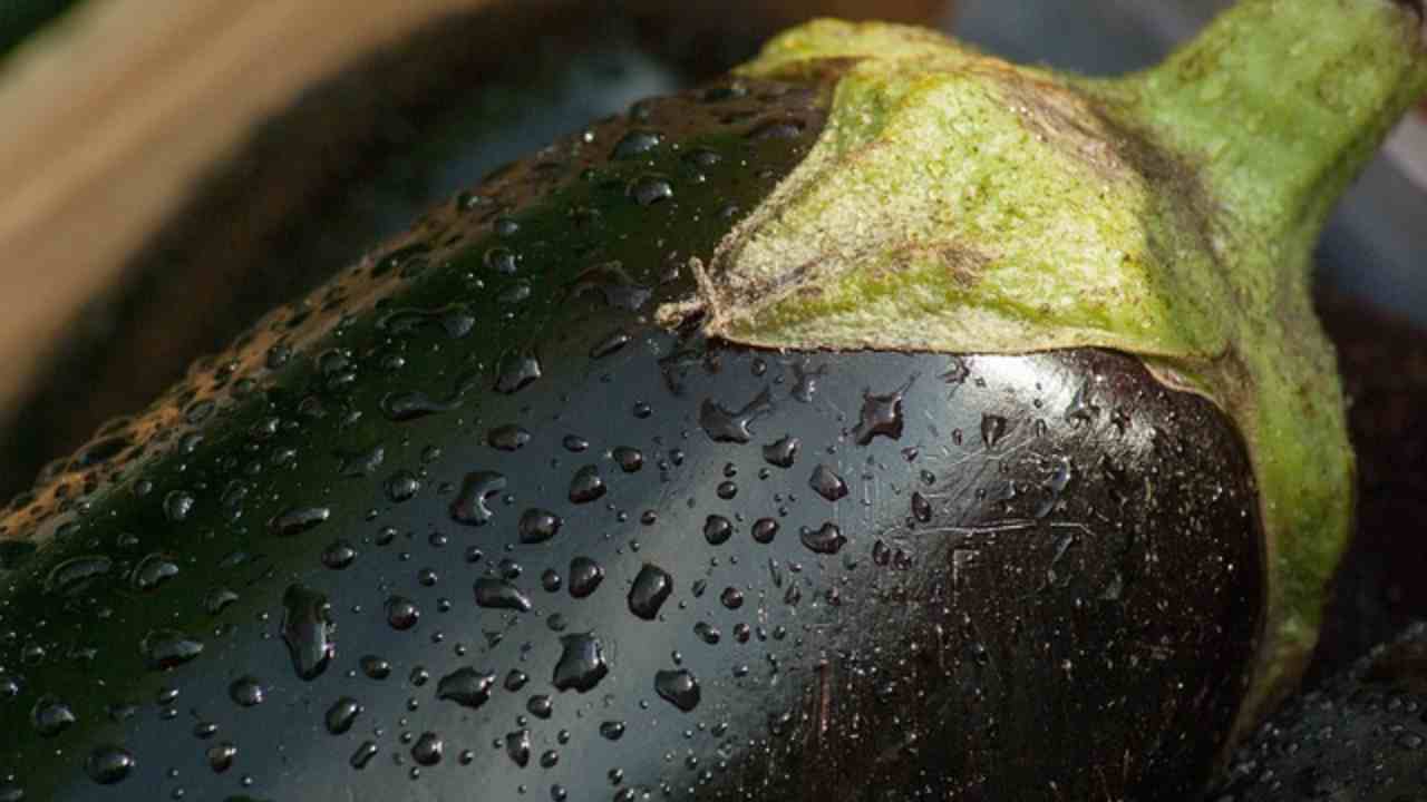 cena 3 melanzane