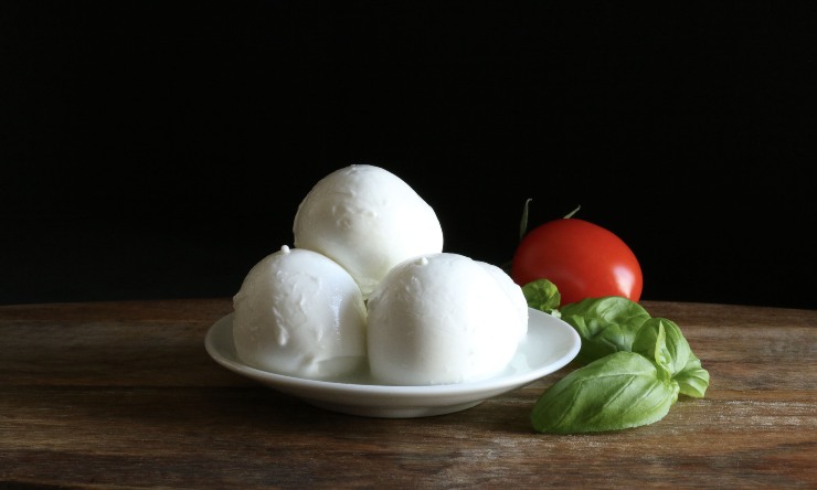 conserva mozzarella