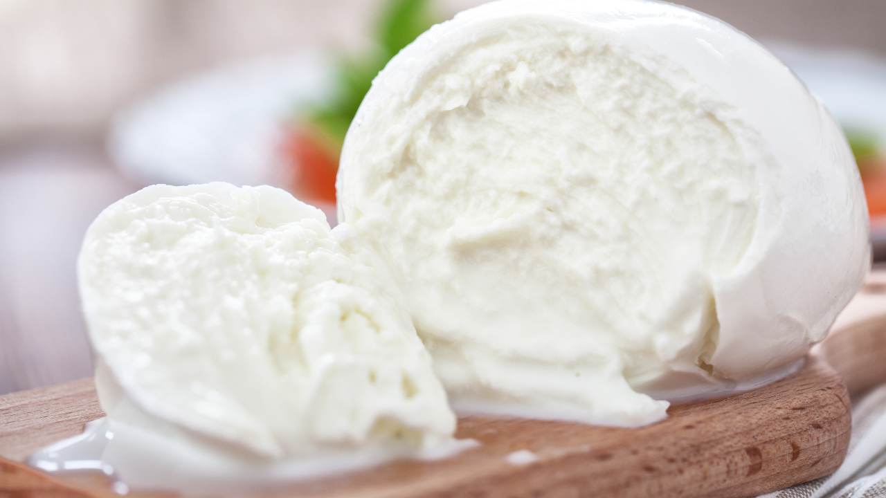 conserva mozzarella