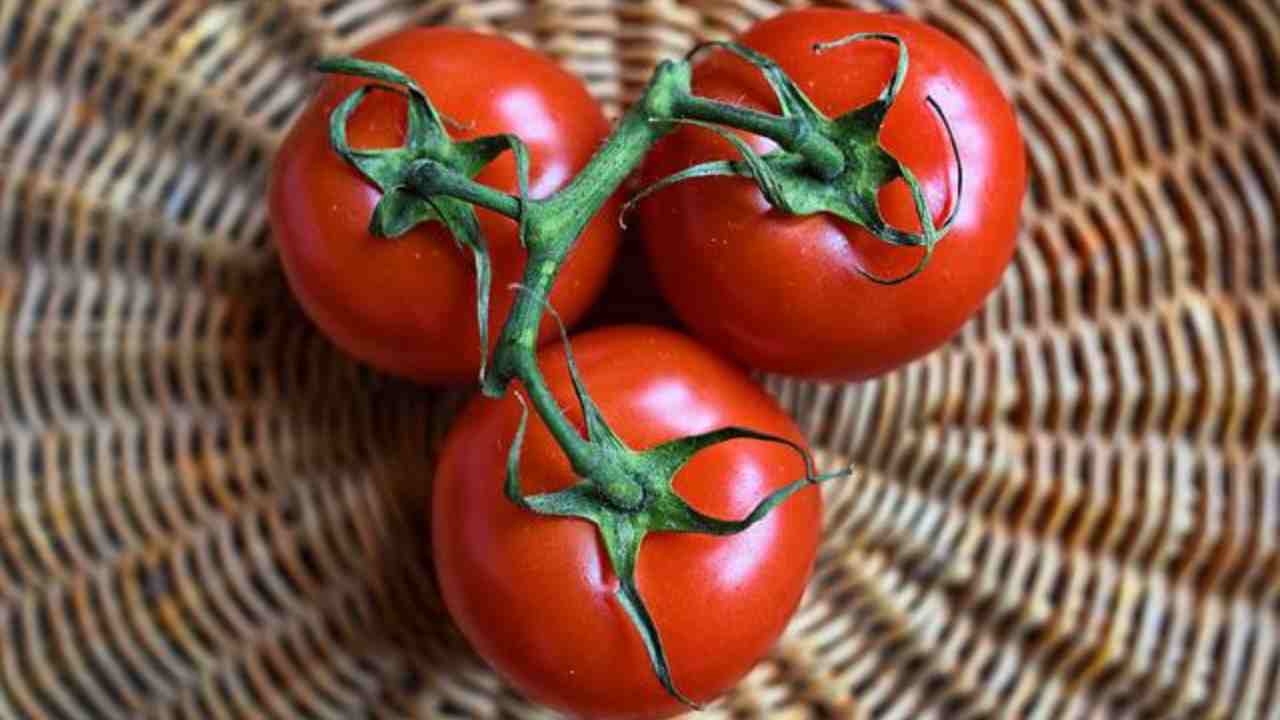 bruschetta cestino