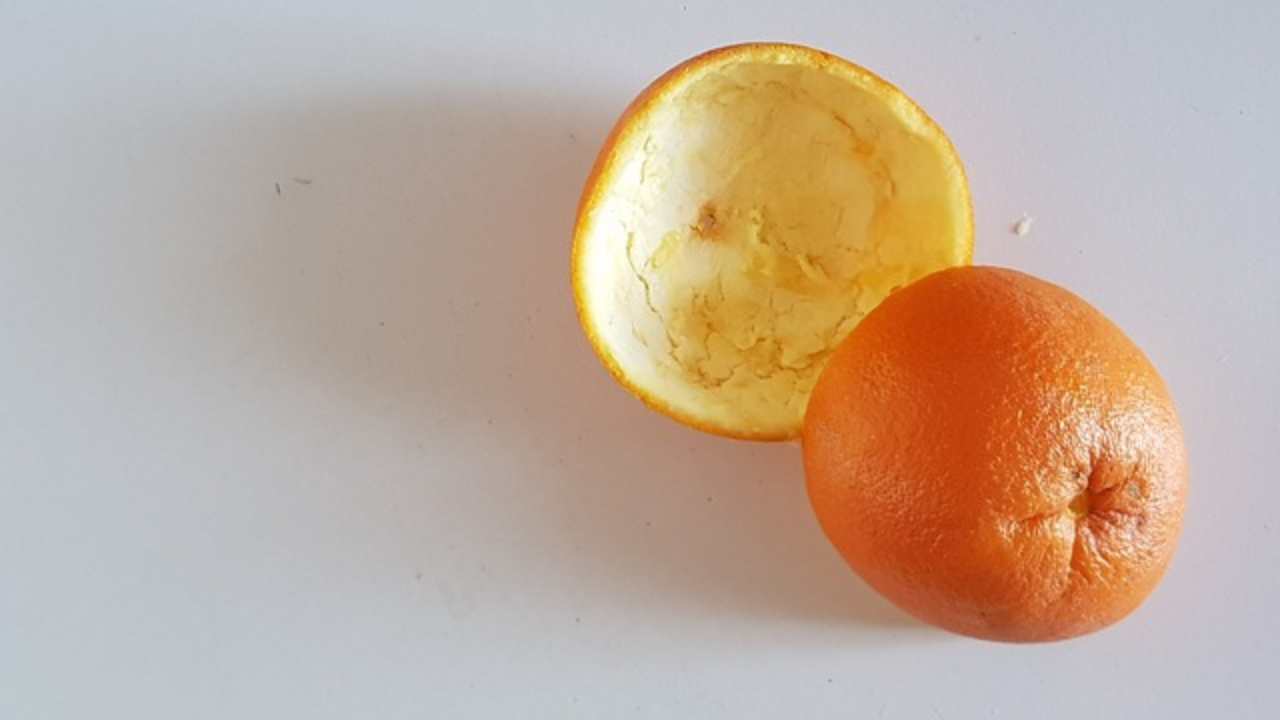 scorze arancia aceto