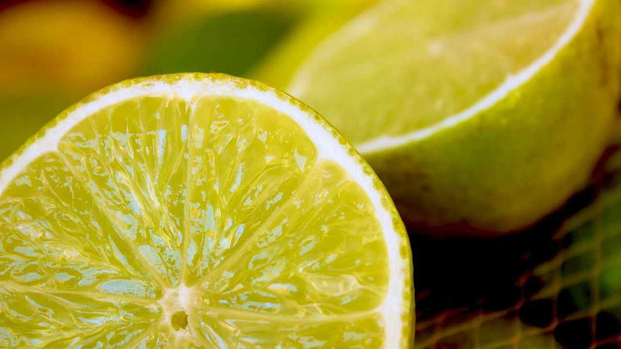 Sapore delicato limone primo