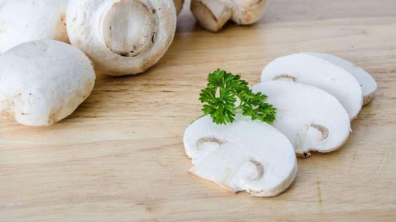 funghi panna piatti cremosi