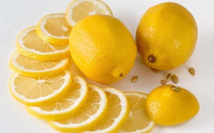 limone budino