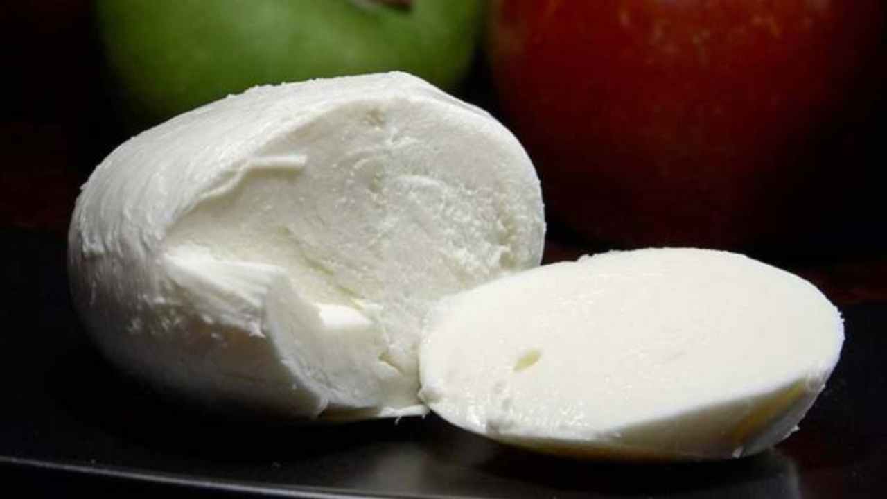 pomodoro mozzarella