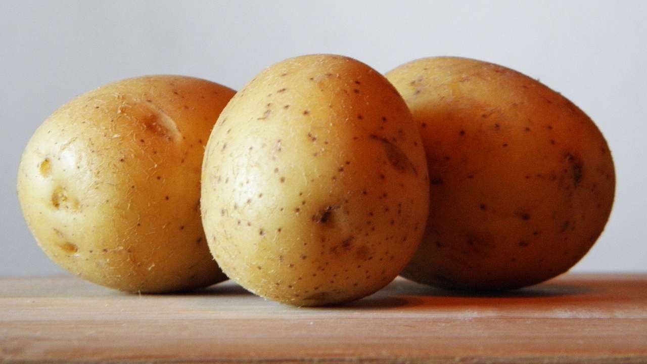 involtini di patate
