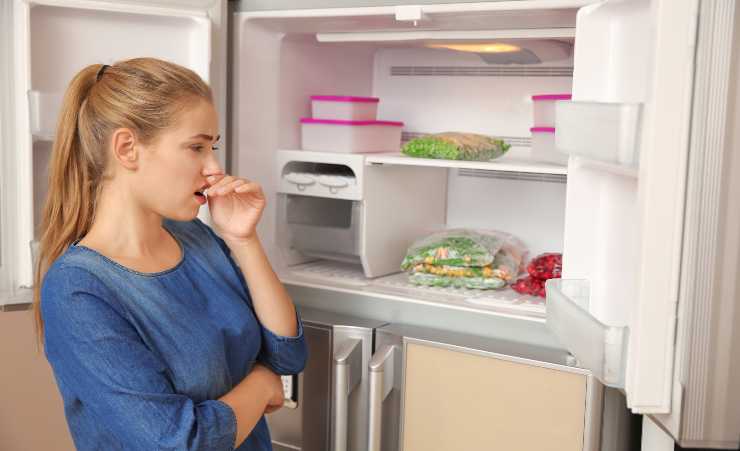 bicarbonato nel frigorifero