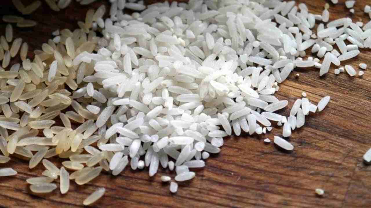insalata riso ingredienti