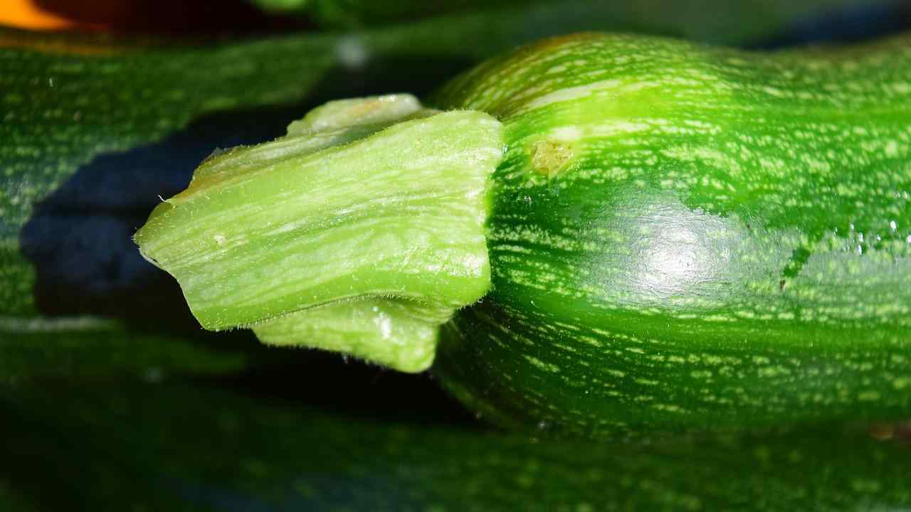 mescolate le zucchine