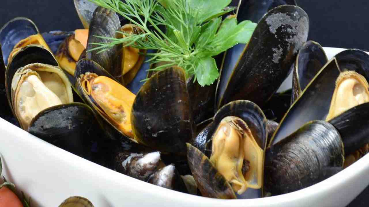 Chi detto solo fagioli cozze