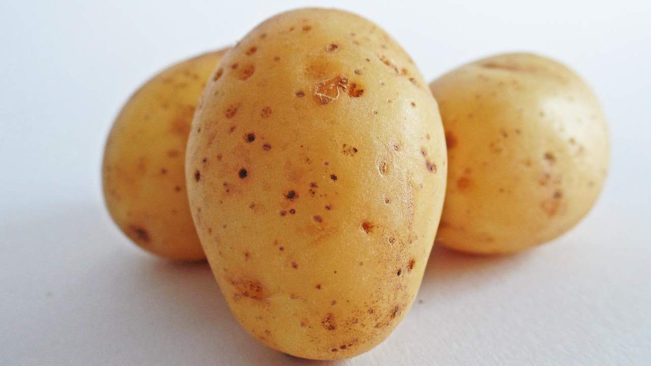 Grissini di patate senza frittura