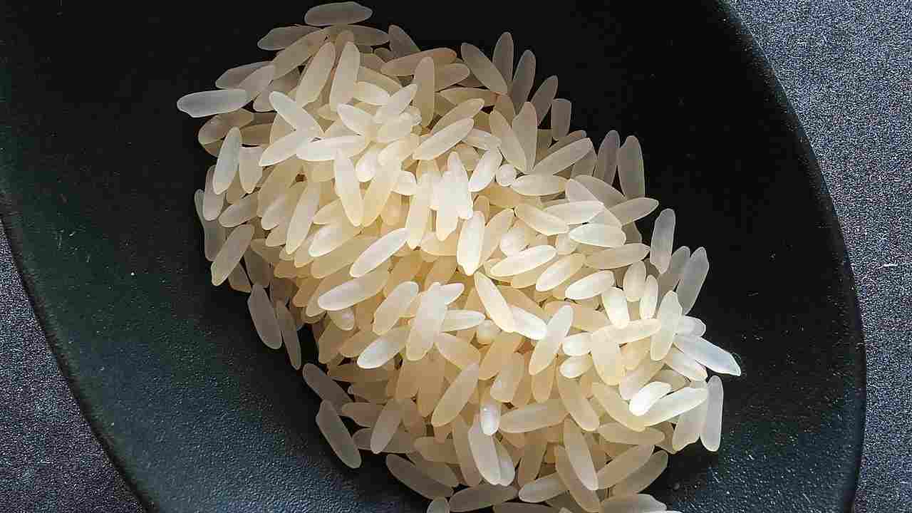 Pranzo insalata di riso