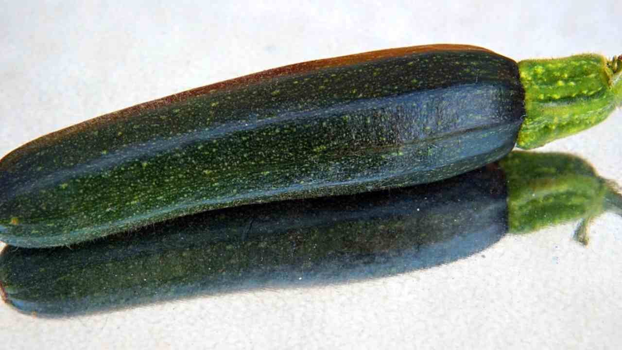 Ricetta grattugiare zucchina