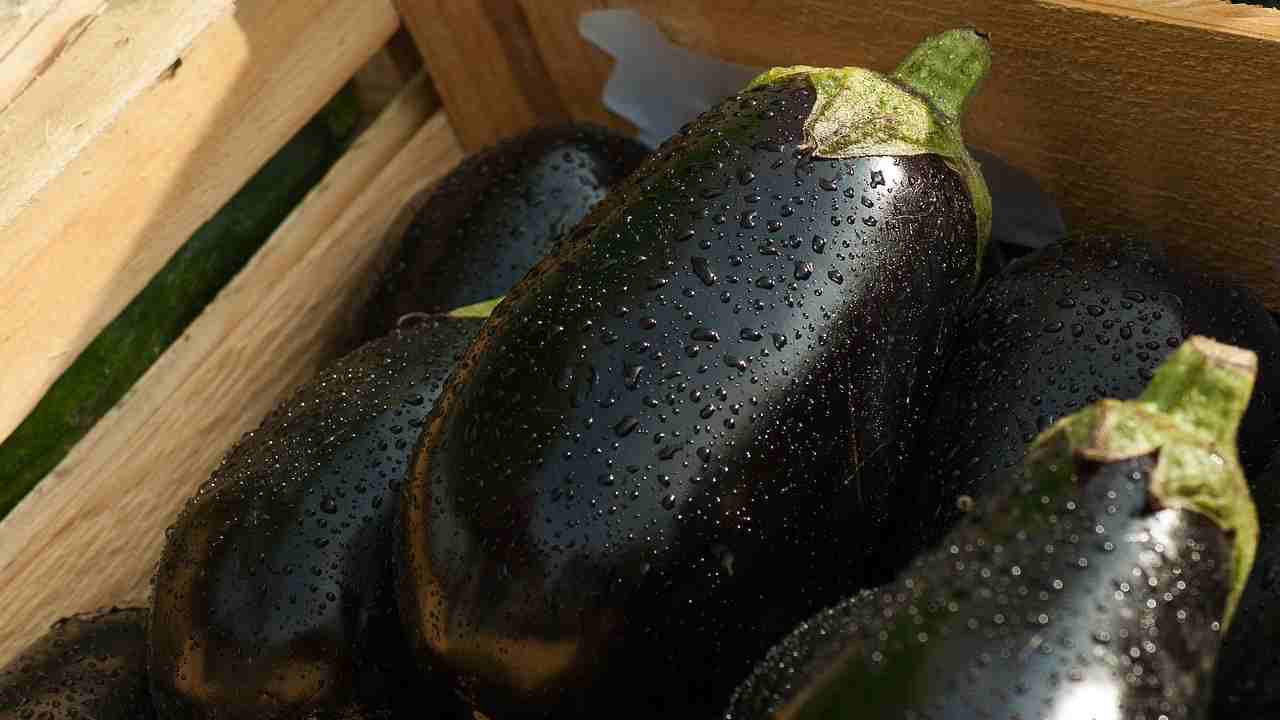 Quetsa ricetta con melanzane